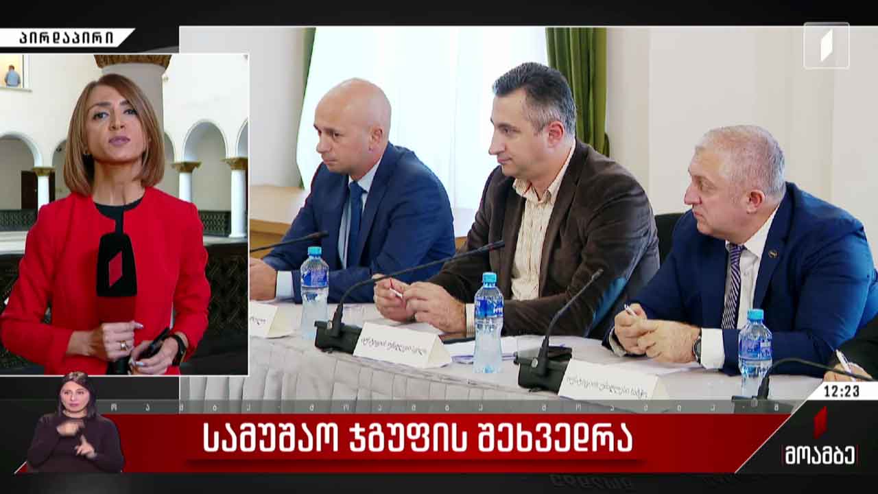 სამუშაო ჯგუფის შეხვედრა