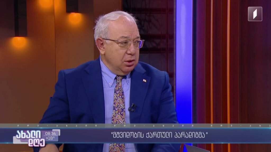 „მშვიდობის ქართული პარადიგმა“