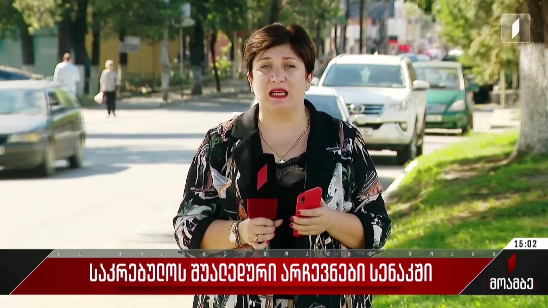 საკრებულოს შუალედური არჩევნები სენაკში
