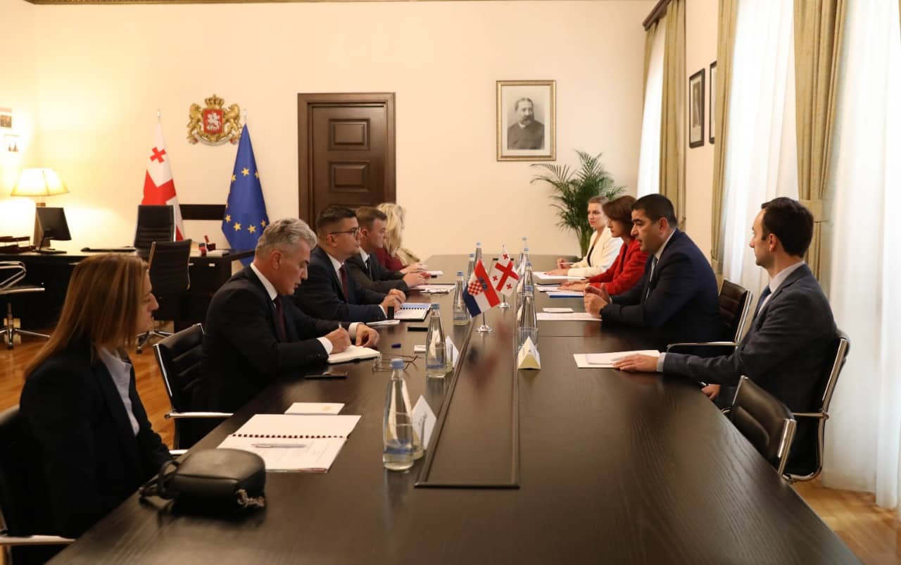 შალვა პაპუაშვილი ხორვატიის პარლამენტის ევროპულ საქმეთა კომიტეტის წევრებს შეხვდა