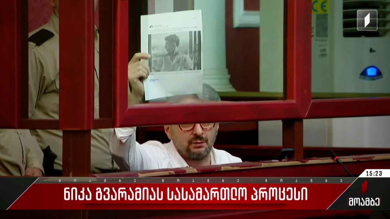 ნიკა გვარამიას საქმე - რა გადაწყვეტილებას მიიღებს სააპელაციო სასამართლო