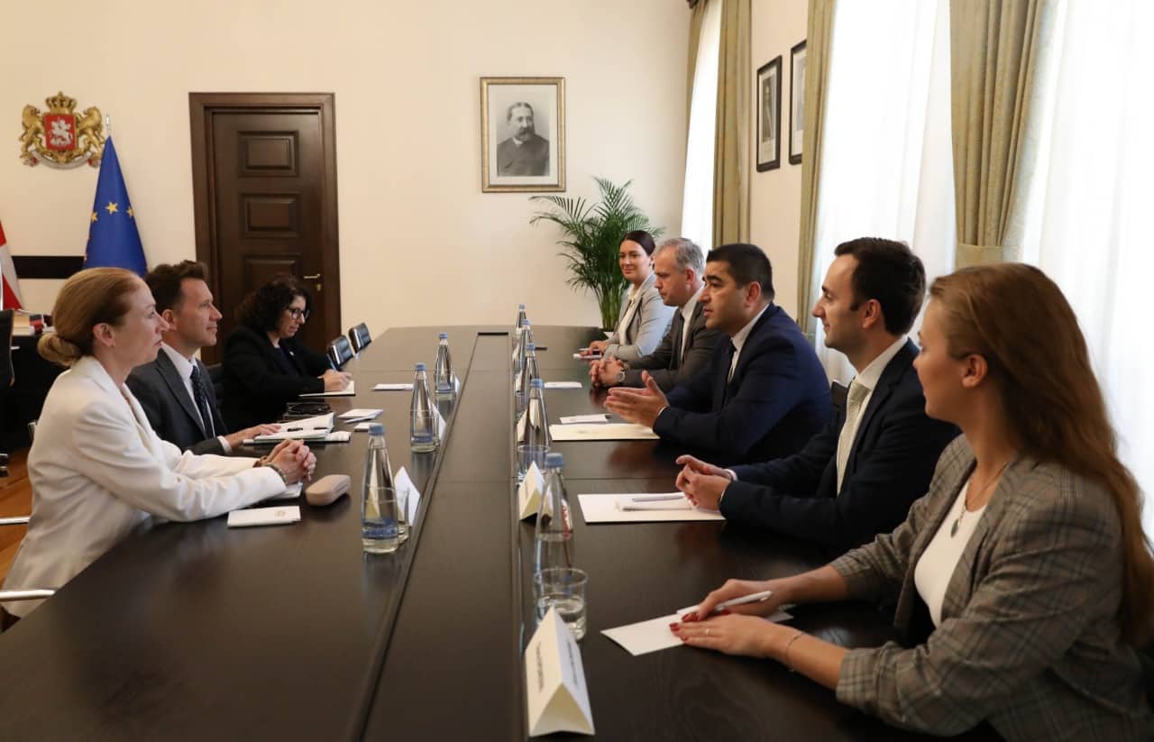 შალვა პაპუაშვილი USAID-ის საქართველოს ოფისის ახალდანიშნულ დირექტორს შეხვდა