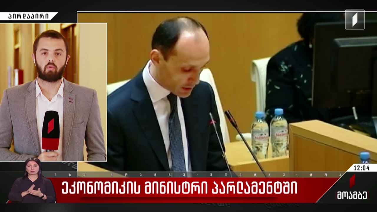 ეკონომიკის მინისტრი პარლამენტში