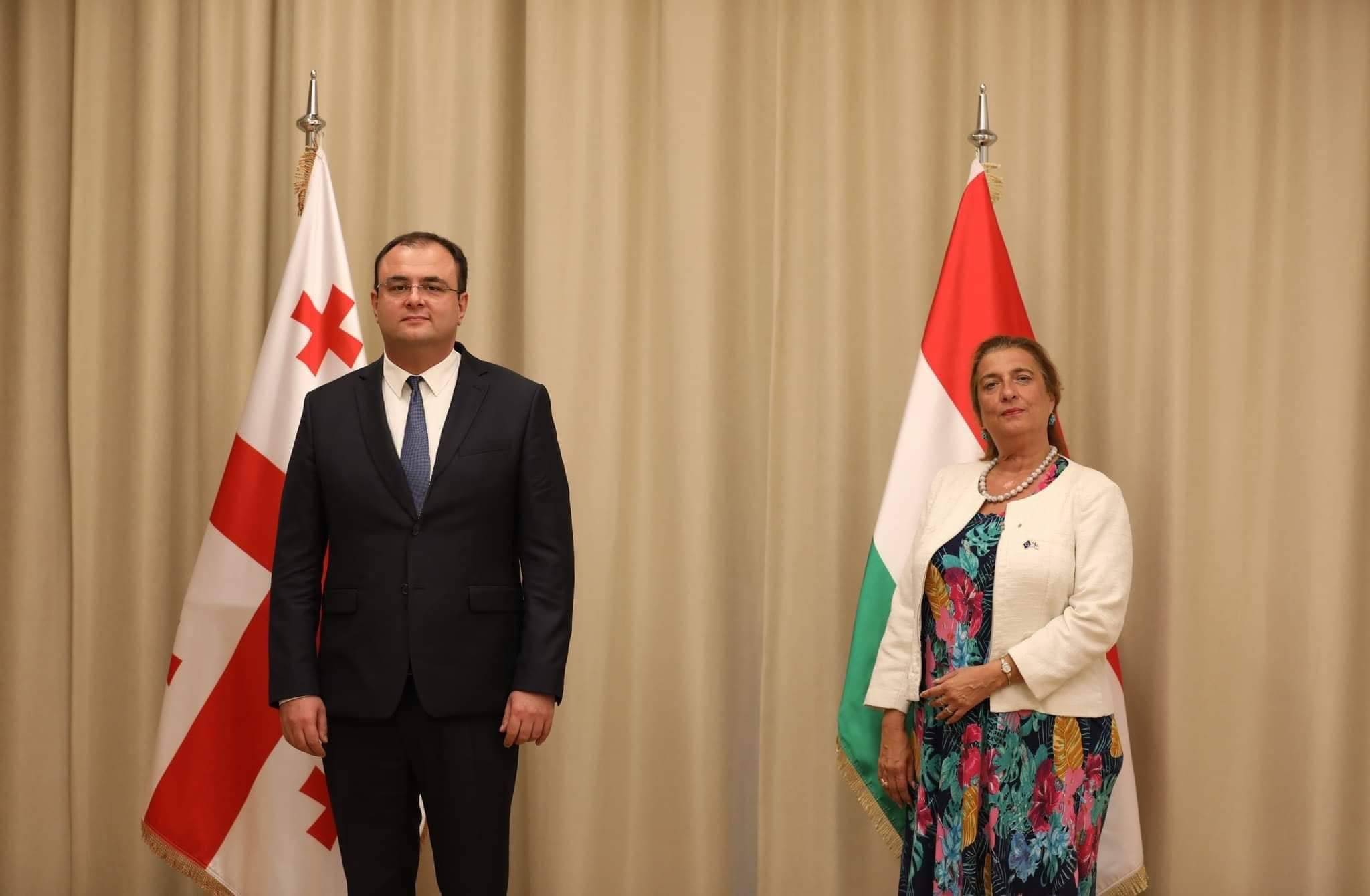 რატი ბრეგაძემ უნგრეთის ელჩთან პარტნიორობის გაღრმავების პერსპექტივები განიხილა