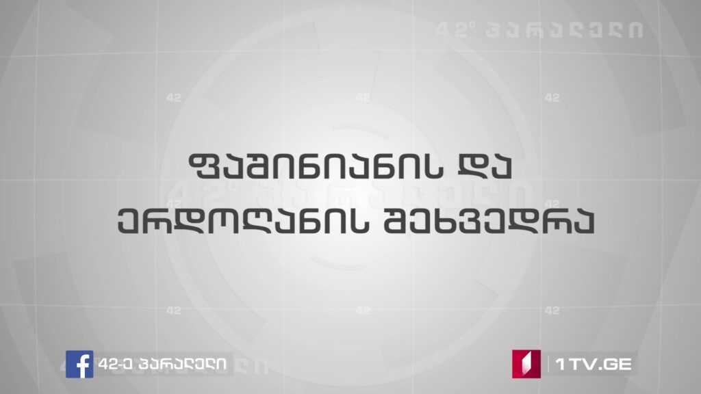 ფაშინიანი-ერდოღანის შეხვედრა