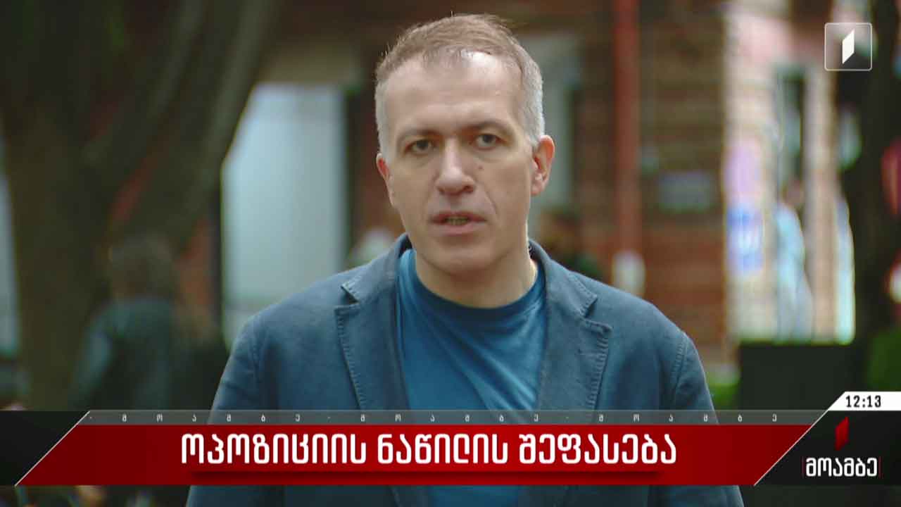 ოპოზიციის ნაწილის შეფასება