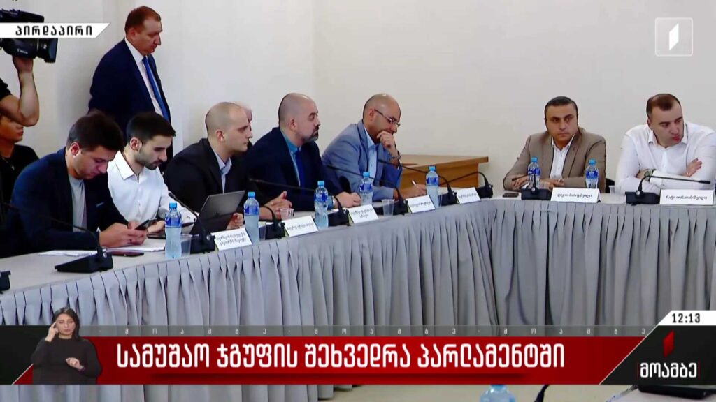 სამუშაო ჯგუფის შეხვედრა პარლამენტში