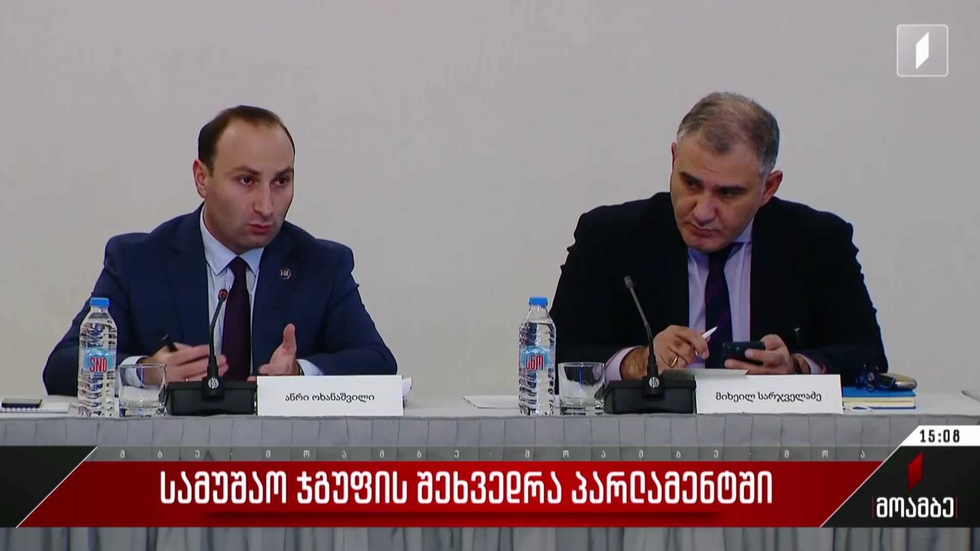სამუშაო ჯგუფის შეხვედრა პარლამენტში