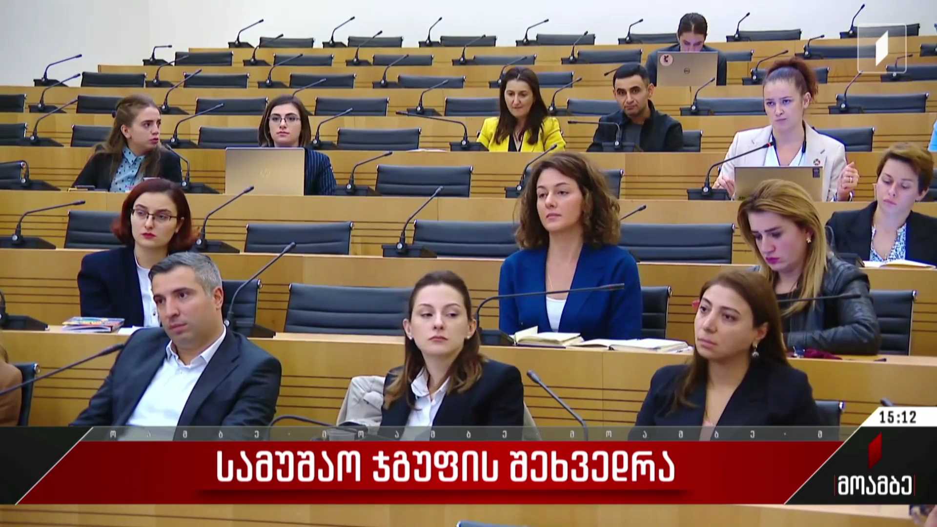სამუშაო ჯგუფის შეხვედრა