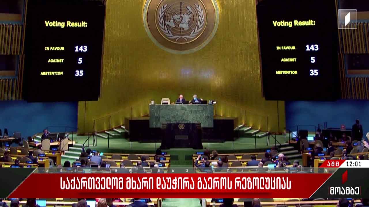საქართველომ გაერო-ს რეზოლუციას მხარი დაუჭირა