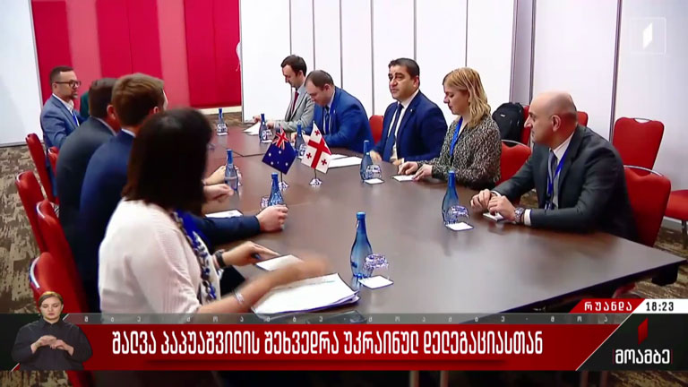 შალვა პაპუაშვილის შეხვედრა უკრაინულ დელეგაციასთან