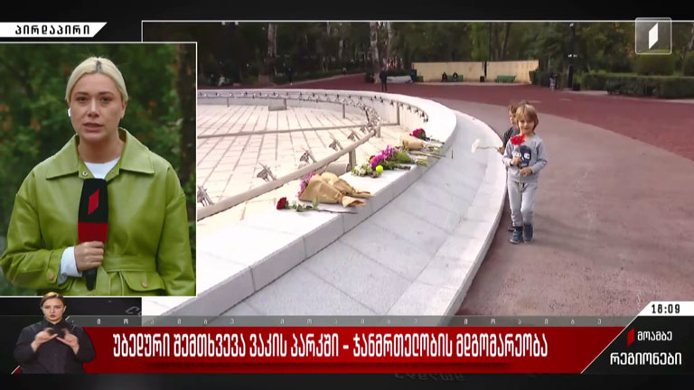 უბედური შემთხვევა ვაკის პარკში - დაშავებულების ჯანმრთელობის მდგომარეობა