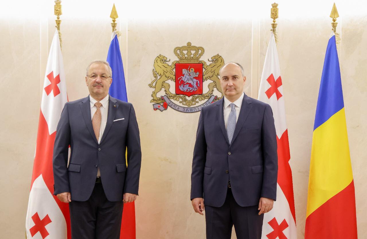 ჯუანშერ ბურჭულაძე რუმინეთის ეროვნული თავდაცვის მინისტრ ვასილე დინკუს შეხვდა