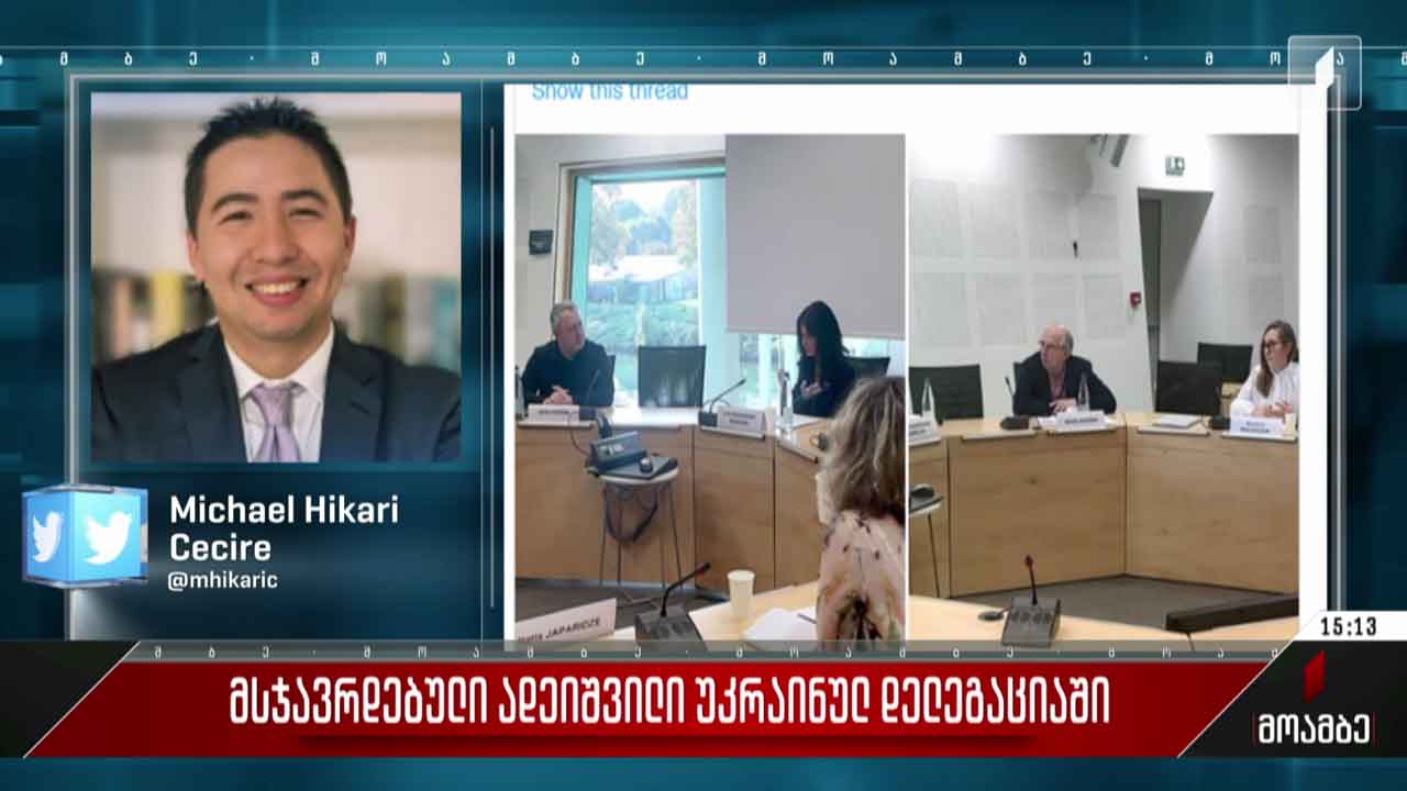 მსჯავრდებული ადეიშვილი უკრაინულ დელეგაციაში