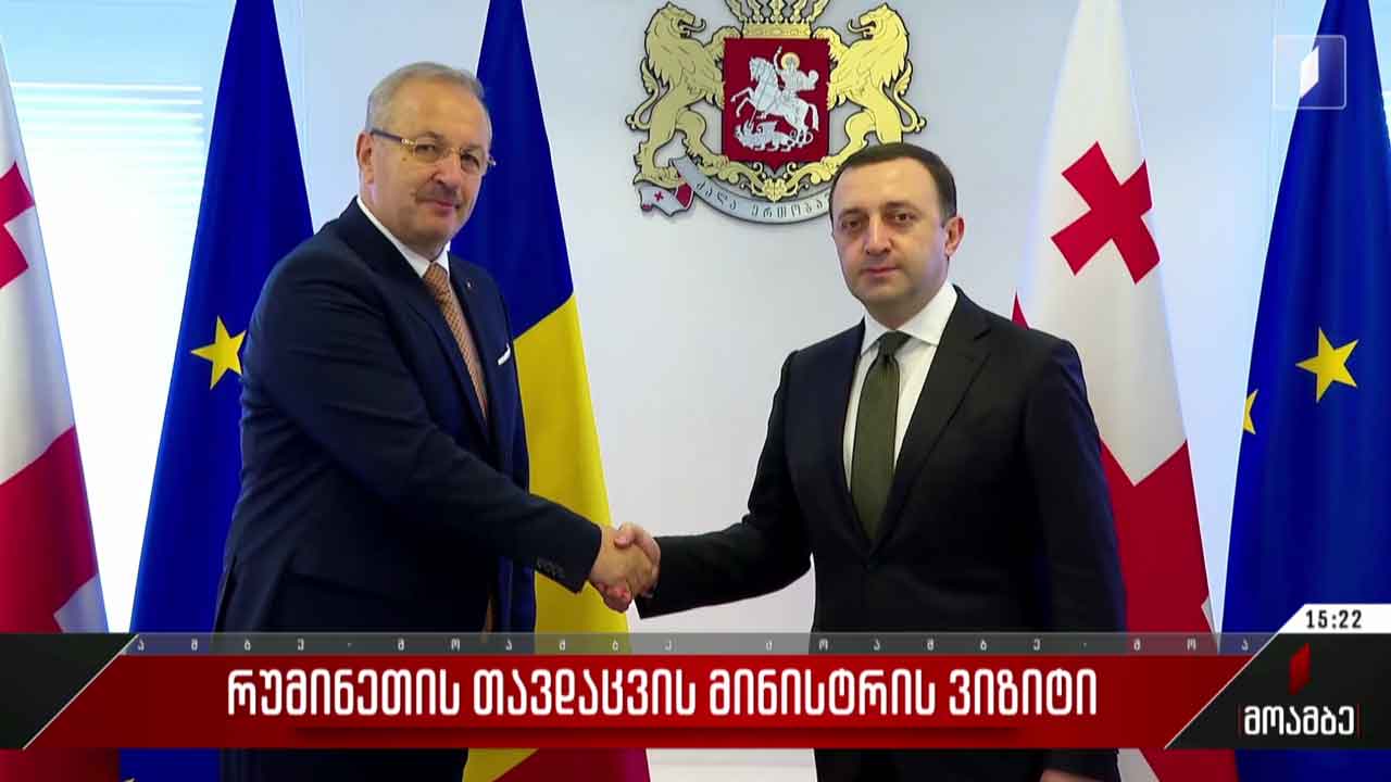 რუმინეთის თავდაცვის მინისტრის შეხვედრა პრემიერთან
