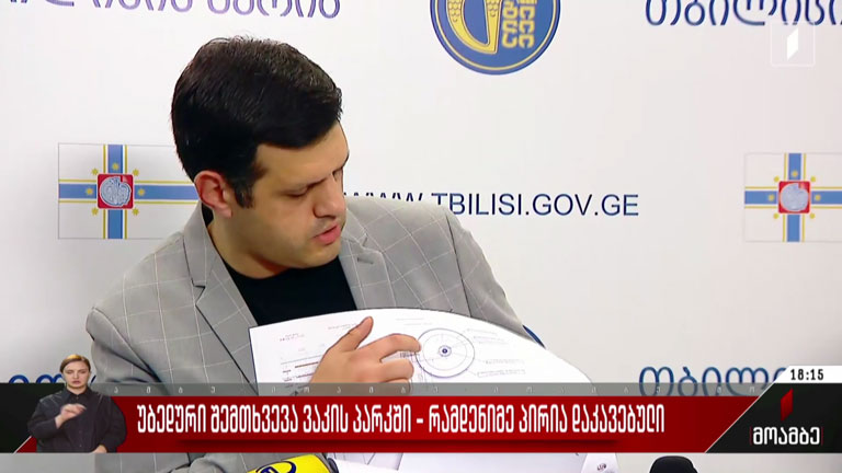 უბედური შემთხვევა ვაკის პარკში - საგამოძიებო მოქმედებები