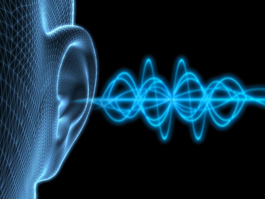 მეცნიერებმა ადამიანის სმენის მოლეკულური მექანიზმი აღმოაჩინეს — #1tvმეცნიერება