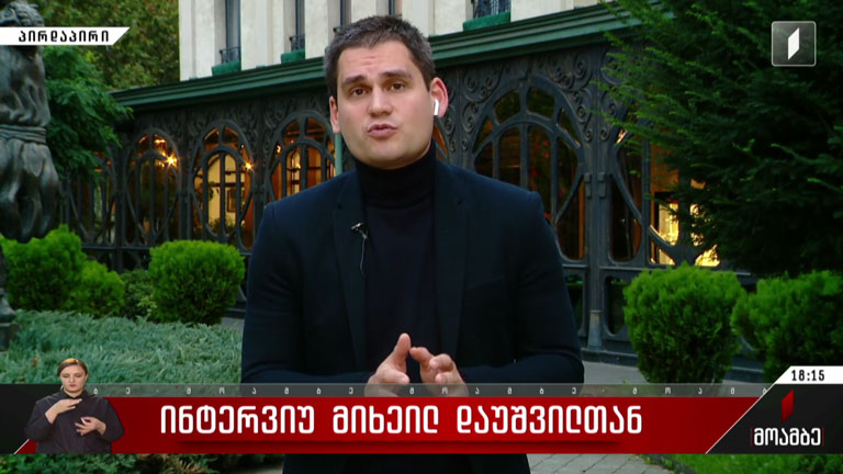ინტერვიუ მიხეილ დაუშვილთან