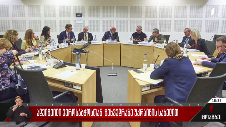 ადეიშვილი ევროსაბჭოსთან შეხვედრაზე უკრაინის სახელით