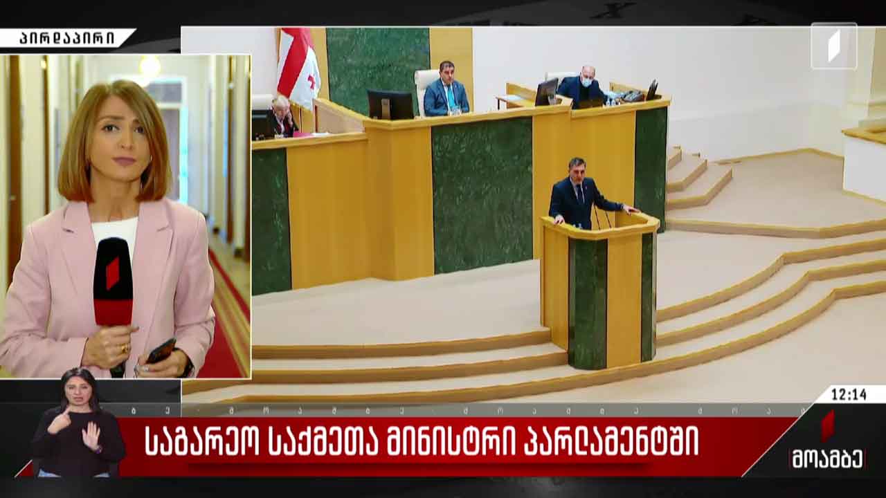 საგარეო საქმეთა მინისტრი პარლამენტში