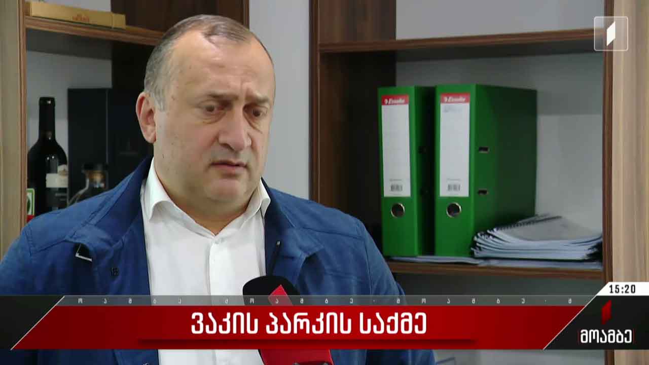 ვაკის პარკში მომხდარი ტრაგედიის საქმე