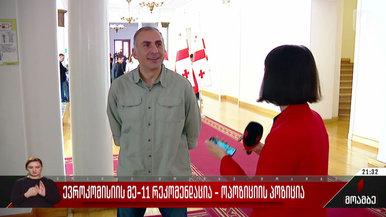 ევროკავშირის მე-11 რეკომენდაცია - ოპოზიციის პოზიცია