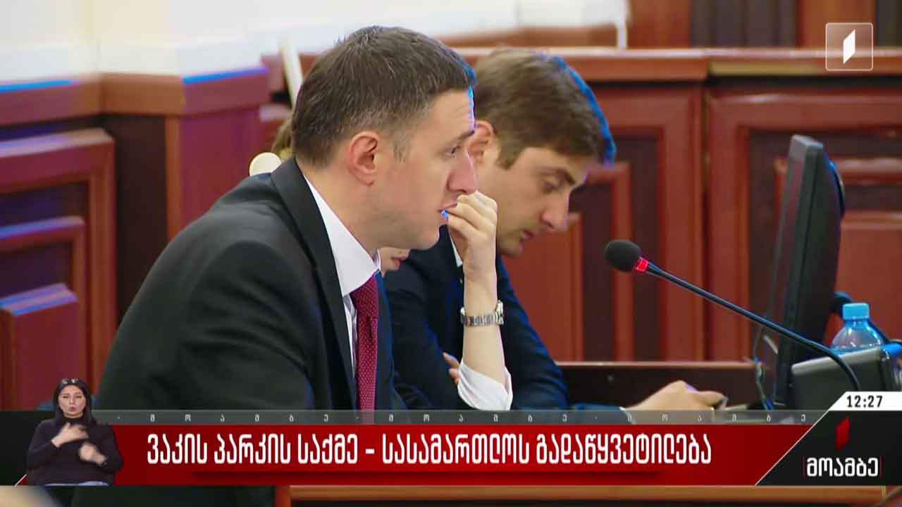 ვაკის პარკის საქმე - სასამართლოს გადაწყვეტილება