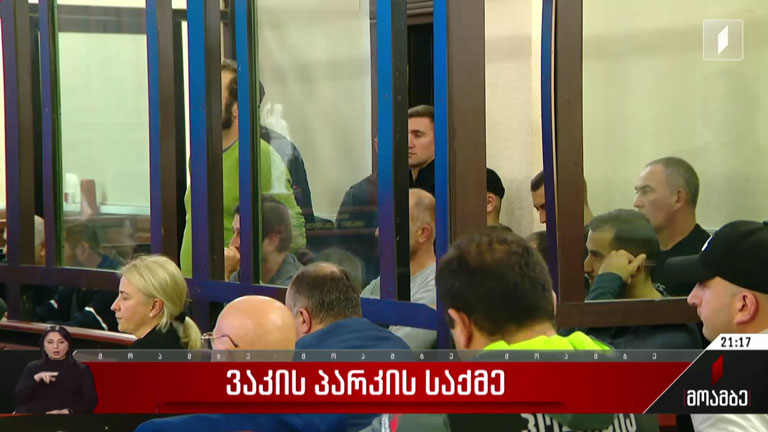 ვაკის პარკის საქმე
