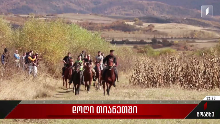 დოღი თიანეთში
