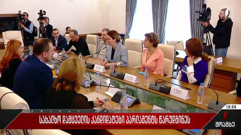 სახალხო დამცველის კანდიდატები პარლამენტს წარუდგინეს