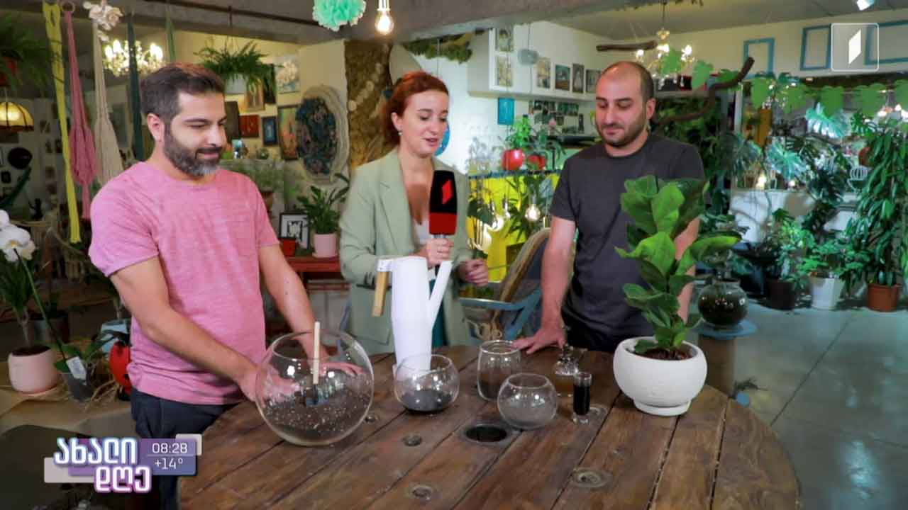 რუბრიკა „მცენარეების მეგობარი“ - სასუქის სახეობა და გამოყენების წესები