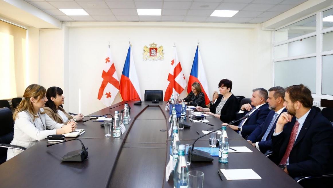 თამარ გაბუნია ჩეხეთის სენატის ჯანდაცვის კომიტეტის დელეგაციას შეხვდა