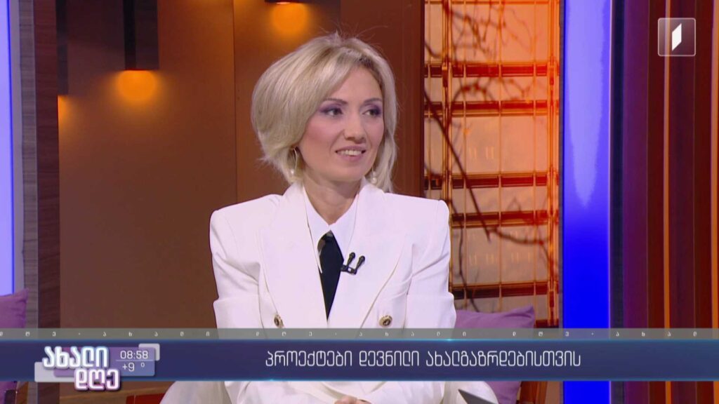 პროექტები დევნილი ახალგაზრდებისთვის 