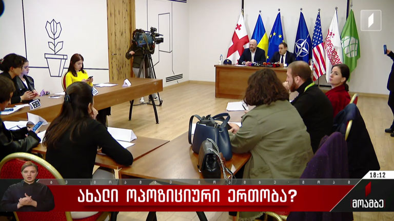 ახალი ოპოზიციური ერთობლივი სამოქმედო გეგმა