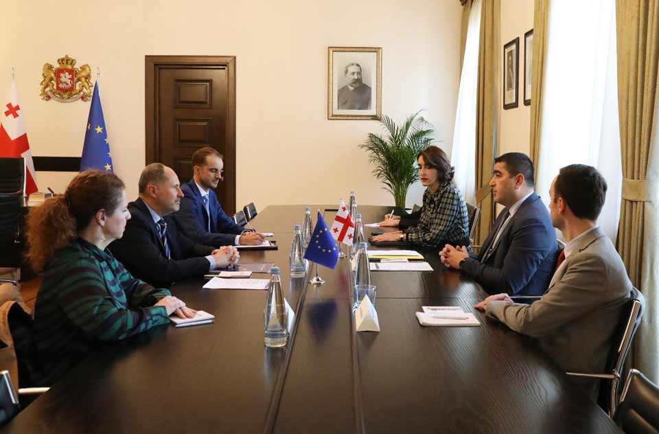 შალვა პაპუაშვილი ევროკავშირის ელჩს, პაველ ჰერჩინსკის შეხვდა