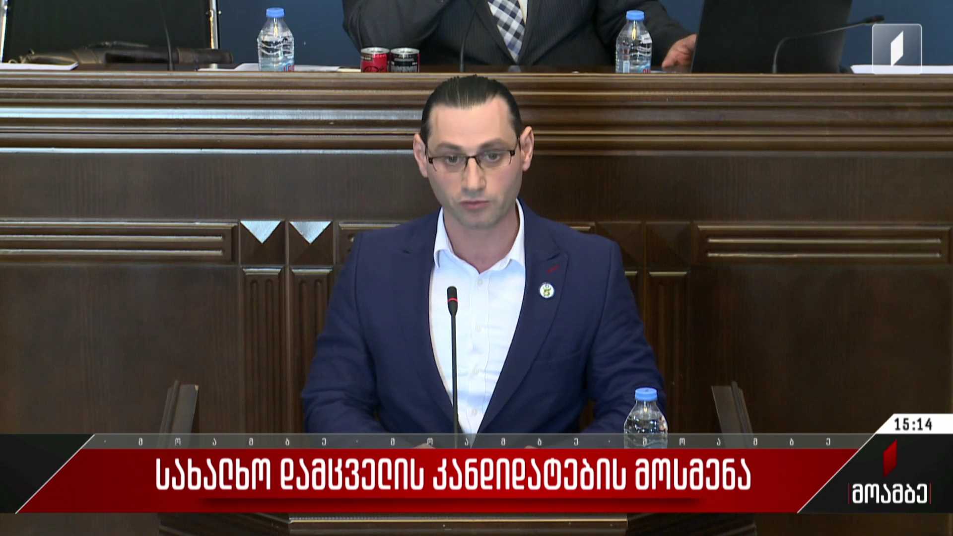 სახალხო დამცველის კანდიდატების მოსმენა