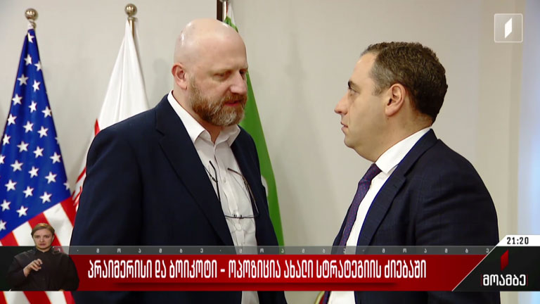 პრაიმერიზი და ბოიკოტი - ოპოზიცია ახალი სტრატეგიის ძიებაში