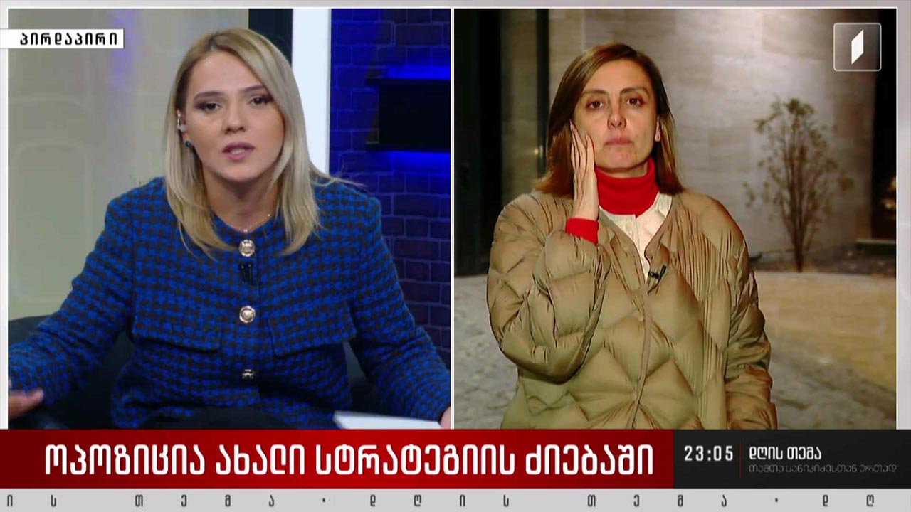 პრაიმერისი თუ ბოიკოტი - ოპოზიცია ახალი სტრატეგიის ძიებაში - ინტერვიუ ხატია დეკანოიძესთან