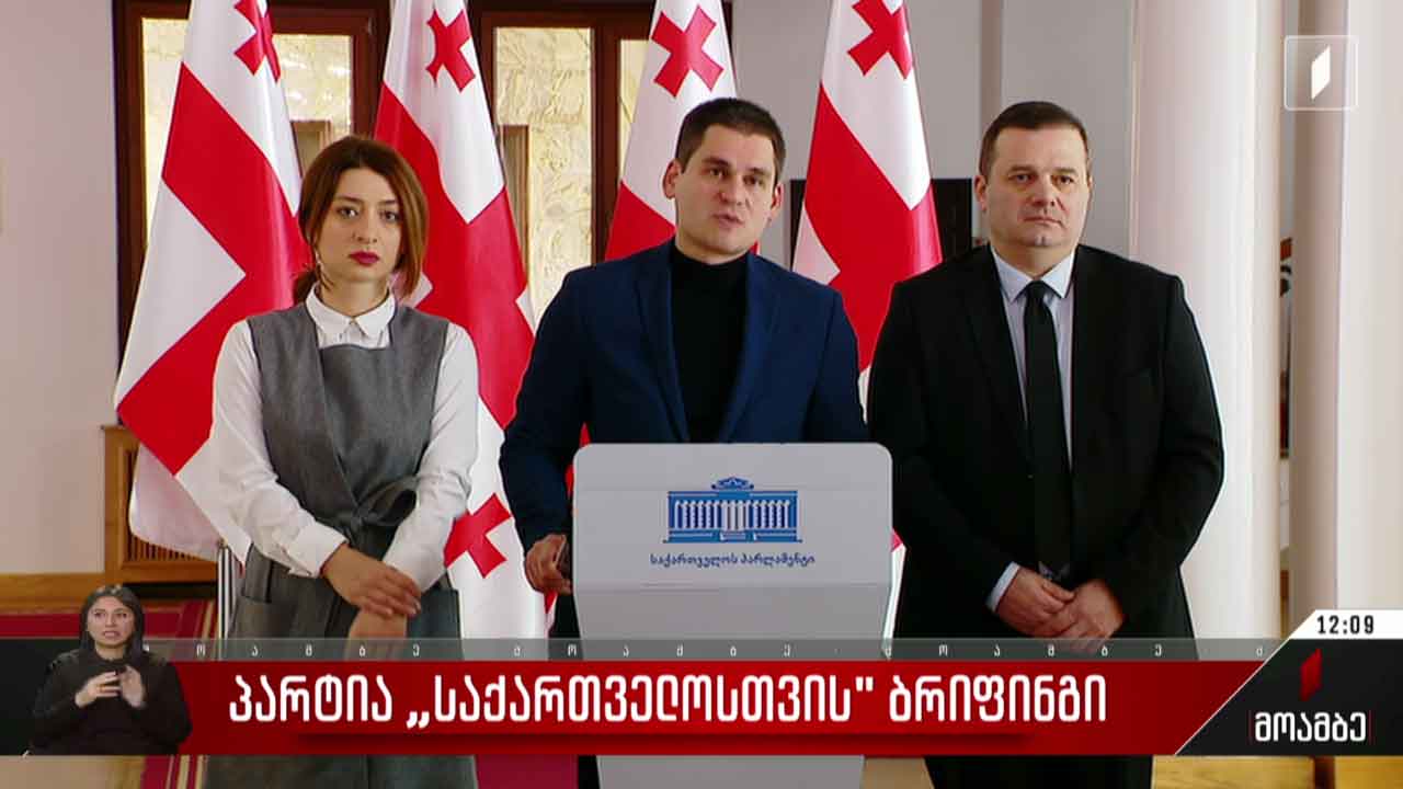 პარტია „საქართველოსთვის“ ბრიფინგი