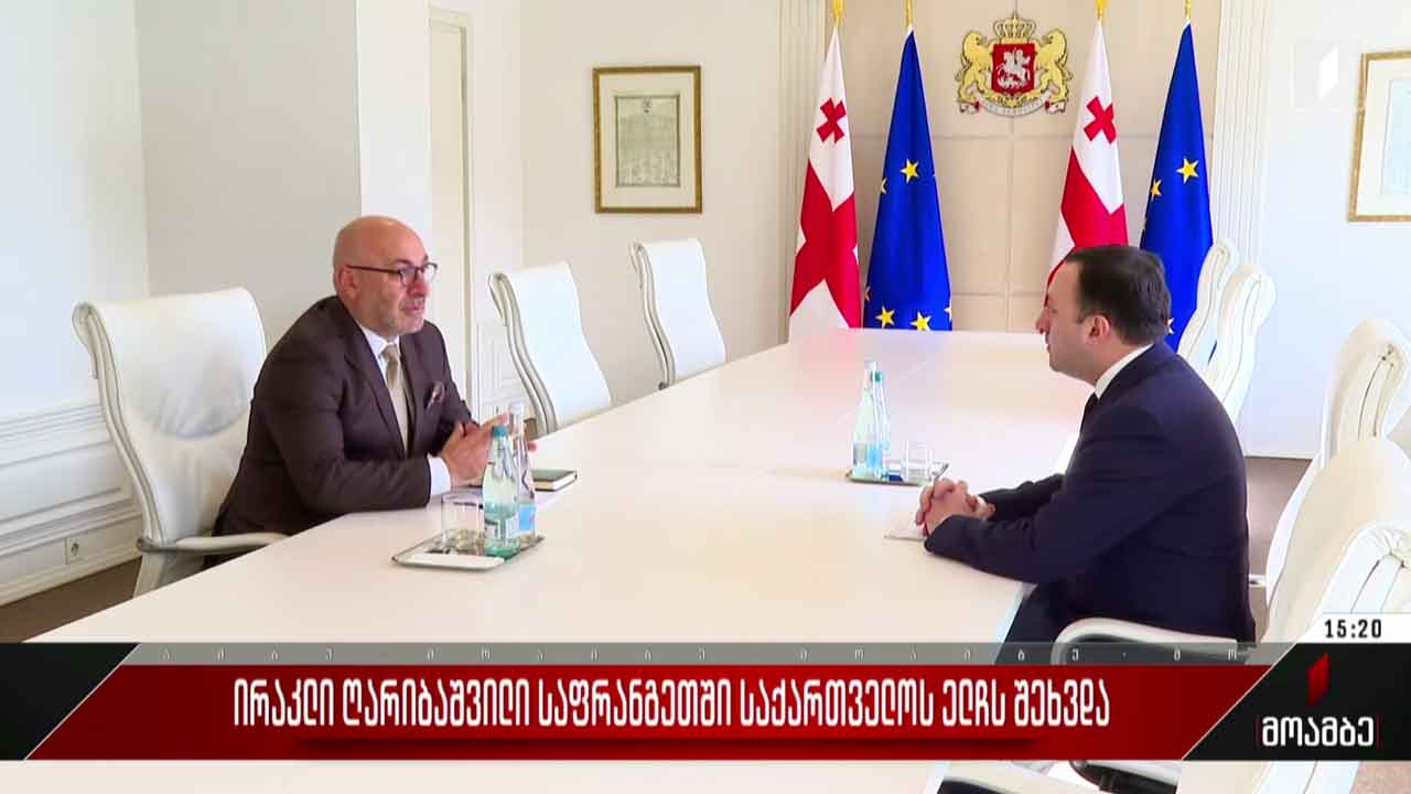 ირაკლი ღარიბაშვილი საფრანგეთში საქართველოს ელჩს შეხვდა