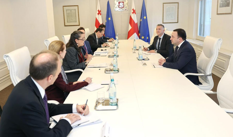 ირაკლი ღარიბაშვილი ევროპისა და ევრაზიის საკითხებში აშშ-ის საერთაშორისო განვითარების სააგენტოს ადმინისტრატორის მოადგილეს შეხვდა