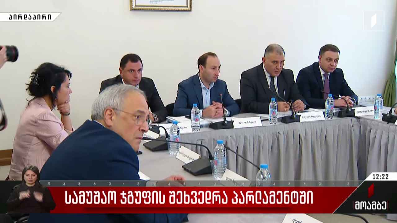 სამუშაო ჯგუფის შეხვედრა პარლამენტში