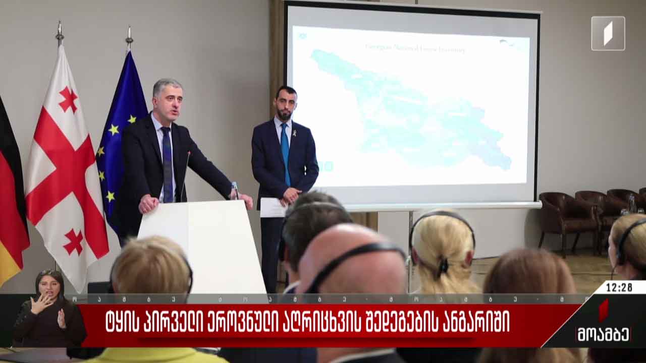 ტყის პირველი ეროვნული აღრიცხვის შედეგების ანგარიში