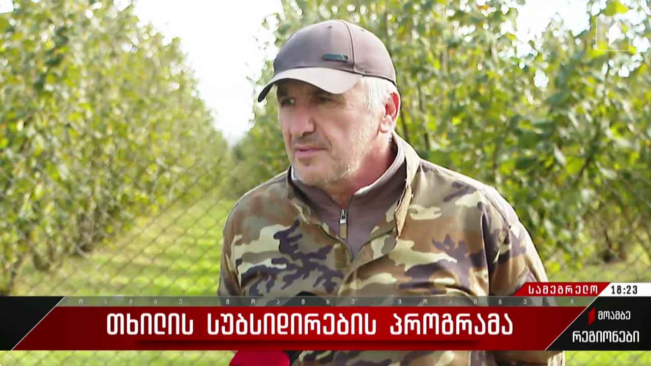 თხილის სუბსიდირების პროგრამა