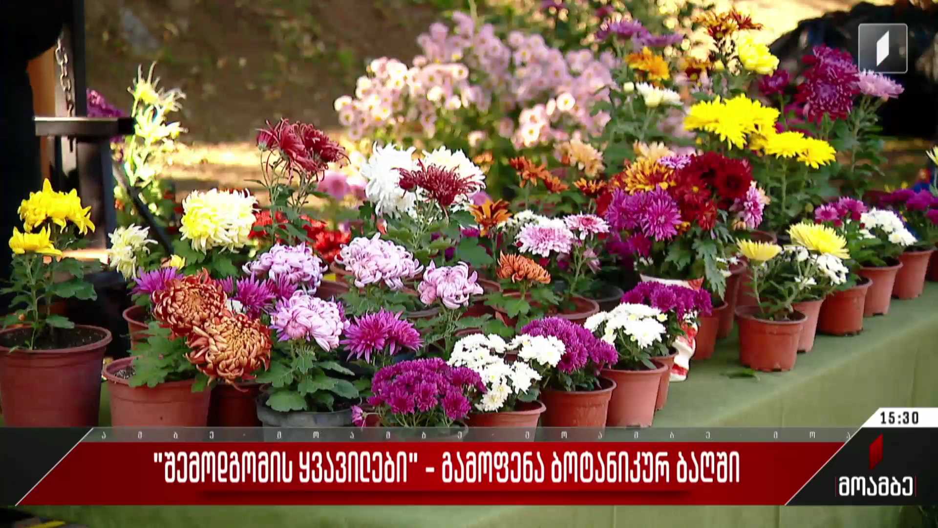 „შემოდგომის ყვავილები“ - გამოფენა ბოტანიკურ ბაღში