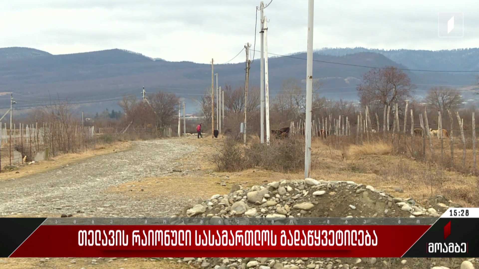 თელავის რაიონული სასამართლოს გადაწყვეტილება