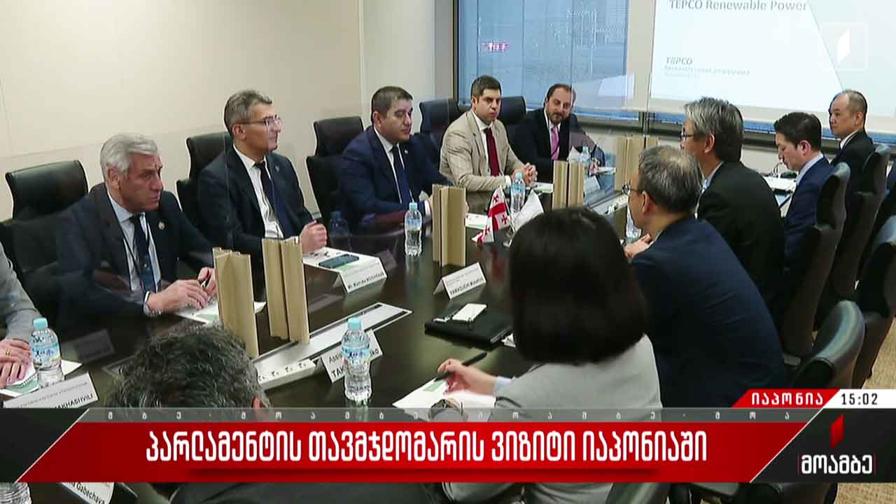 იაპონიაში საქართველოს პარლამენტის დელეგაციის ვიზიტი გრძელდება