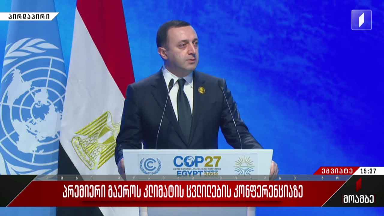 ირაკლი ღარიბაშვილის გამოსვლა გაერო-ს კლიმატის სამიტზე