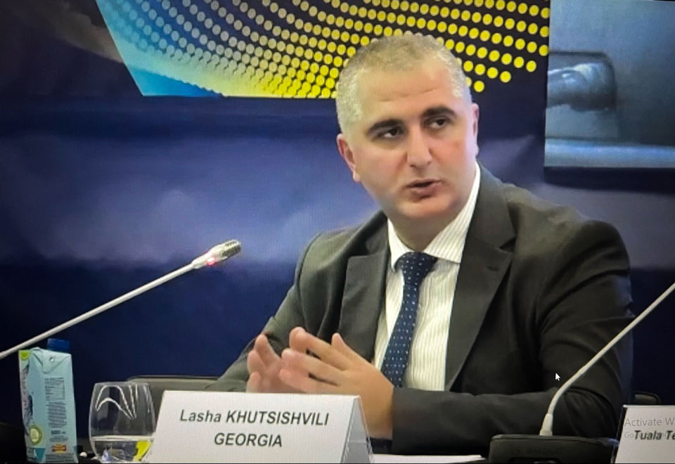 ლაშა ხუციშვილმა ეკონომიკური თანამშრომლობისა და განვითარების ორგანიზაციის მაღალი დონის პანელურ დისკუსიაში მონაწილეობა მიიღო