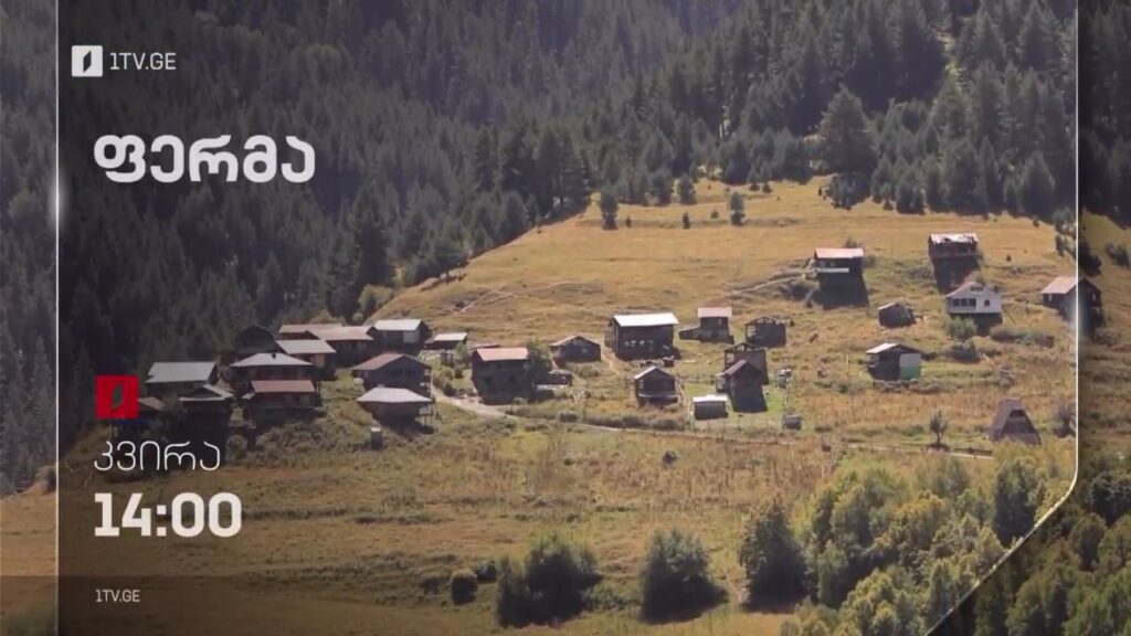 „ფერმა“ – 13 ნოემბერს, 14:00